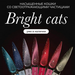 NAIL REPUBLIC   #684 Bright Cats   10мл   Гель-лак кошачий глаз светоотражающий
