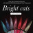 NAIL REPUBLIC   #684 Bright Cats   10мл   Гель-лак кошачий глаз светоотражающий